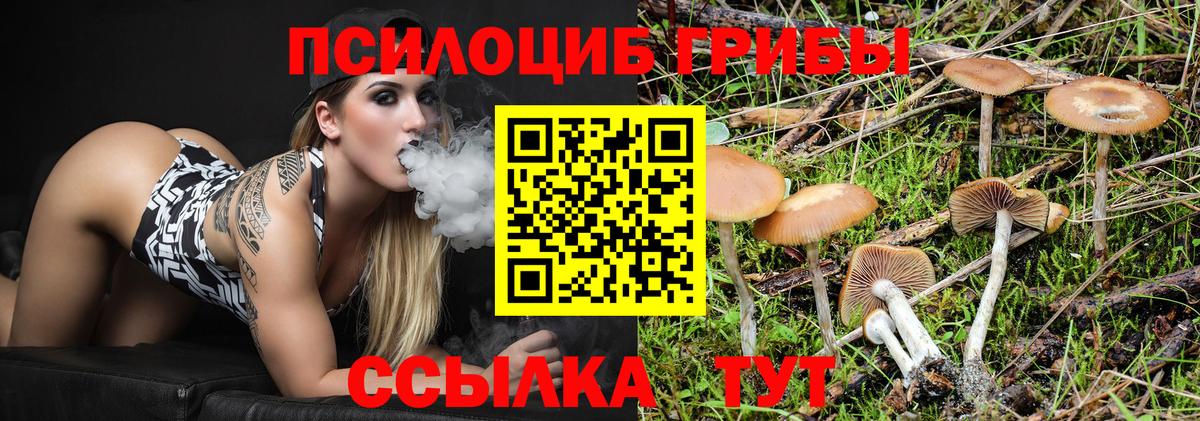 Псилоцибиновые грибы Cubensis Куйбышев