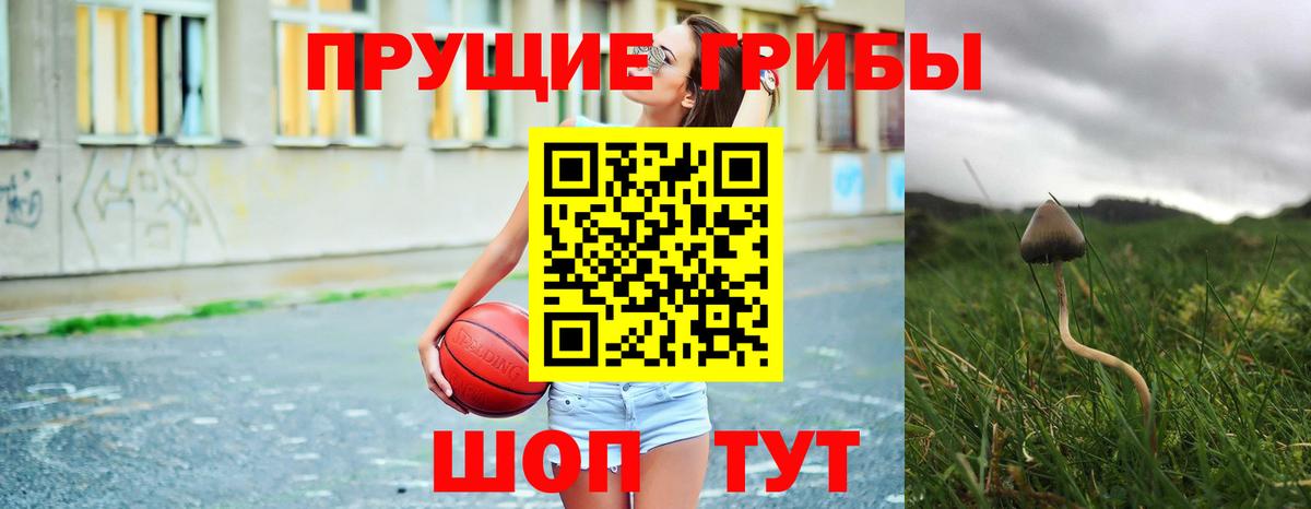 Галлюциногенные грибы MAGIC MUSHROOMS  Вход с VPN  Куйбышев 